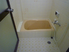 �V���������݉�