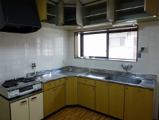 �V���������݉�