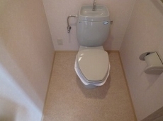 ���]�����i