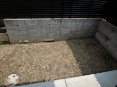 �A�X�g�A�T�q