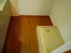 �A�X�g�A�T�q