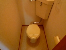 �A�X�g�A�T�q