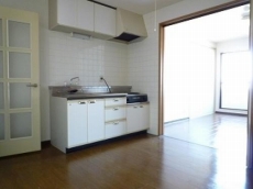 �A���}�[�i�k���ꉮ