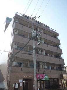 �A���}�[�i�k���ꉮ