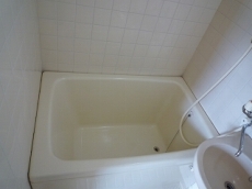 �T���v���U�ʏo