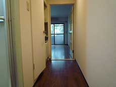 �O�����V���g�[�ʏo