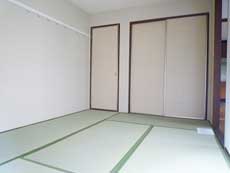 �|���g�Z�g