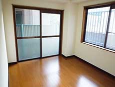 �t�����h�n�C�c