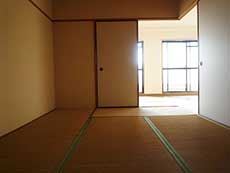 �G���Y�ݗ�