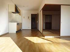 �G���Y�ݗ�