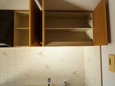 �G���Y�ݗ�