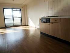 �G���Y�ݗ�