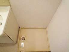 �G���Y�ݗ�