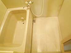 �G���Y�ݗ�