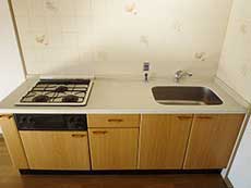 �G���Y�ݗ�