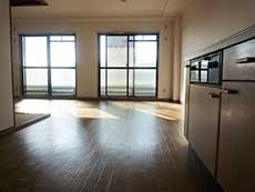 �G���Y�ݗ�