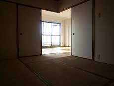 �G���Y�ݗ�