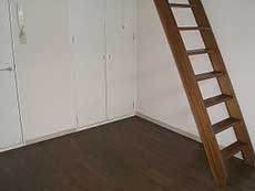 ���t�e�B�ݗ�