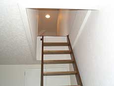 ���t�e�B�ݗ�