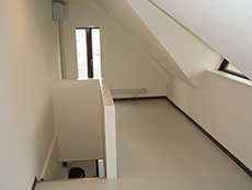 ���t�e�B�ݗ�