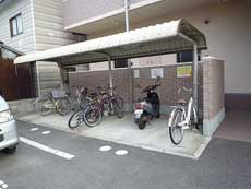 ���l�X�x���[�U