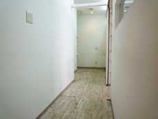 �A�J�c�L�n�C�f���X1F�X��