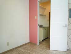 �A�J�c�L�n�C�f���X1F�X��