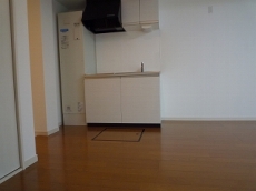 ���[���U