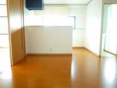 �n�C���A�T�_