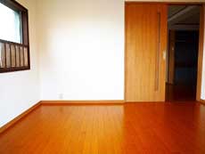 �n�C���A�T�_