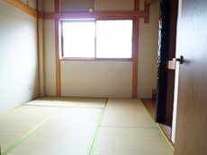 �V���������݉�