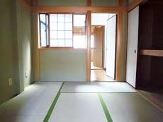 �V���������݉�