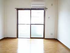 �V���������݉�