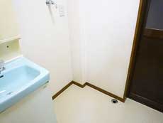 �V���������݉�