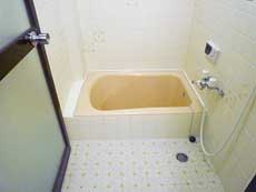 �V���������݉�