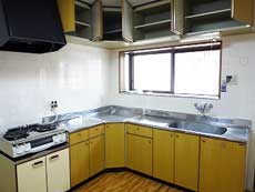 �V���������݉�