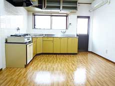 �V���������݉�