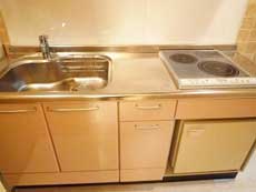 �^�C�K�[�x�A�[