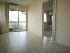 �p���~�G�[���ݗ�