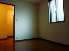 �V���[���]���E�h�D�[�E�f�B�A�X