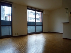 �V���[���]���E�h�D�[�E�f�B�A�X