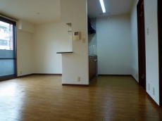 �V���[���]���E�h�D�[�E�f�B�A�X