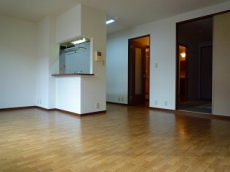 �V���[���]���E�h�D�[�E�f�B�A�X