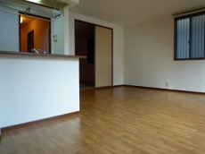 �V���[���]���E�h�D�[�E�f�B�A�X