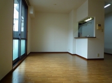 �V���[���]���E�h�D�[�E�f�B�A�X