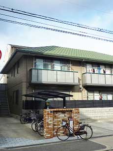 �V���[���]���E�h�D�[�E�f�B�A�X