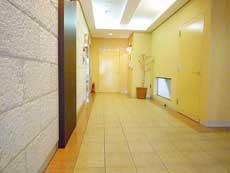 J�T�C�v���X