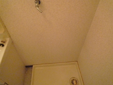 ローズライフ住之江