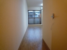 ���C�����n�C�c���ꉮ