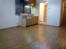 ���C�����n�C�c���ꉮ